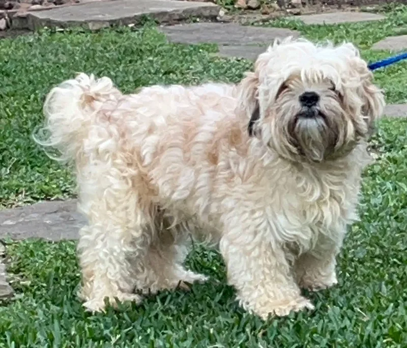Leo Barkley thumbnail 3