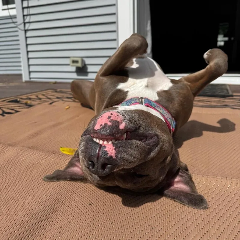 Dottie thumbnail 5