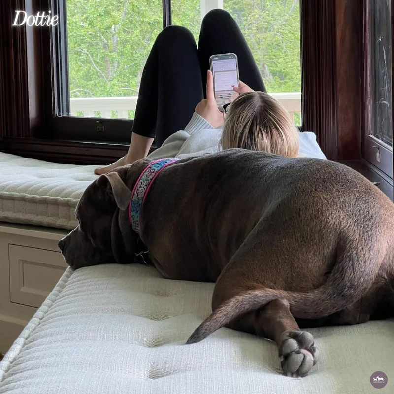 Dottie thumbnail 6