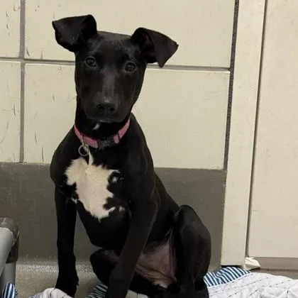 Kimberly thumbnail 2