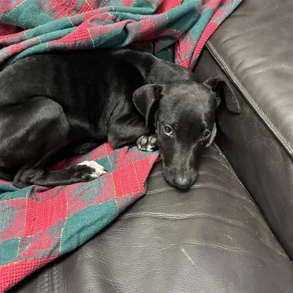 Kimberly thumbnail 4