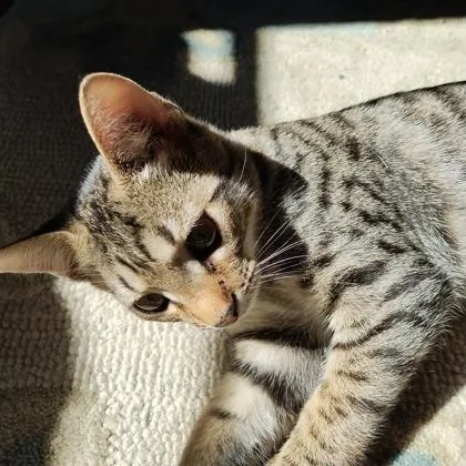 Johnny Depp thumbnail 2