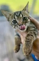 Johnny Depp thumbnail 3