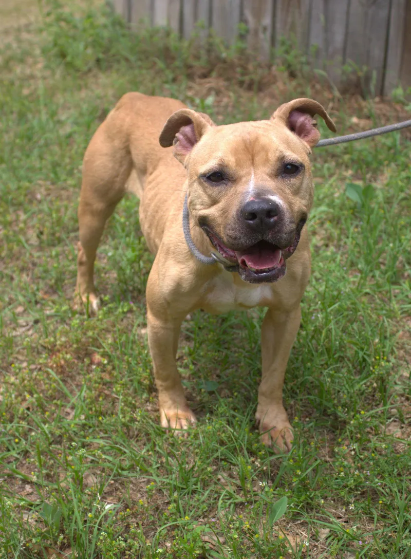 Billie Jean thumbnail 2