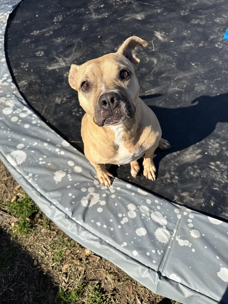 Billie Jean thumbnail 3