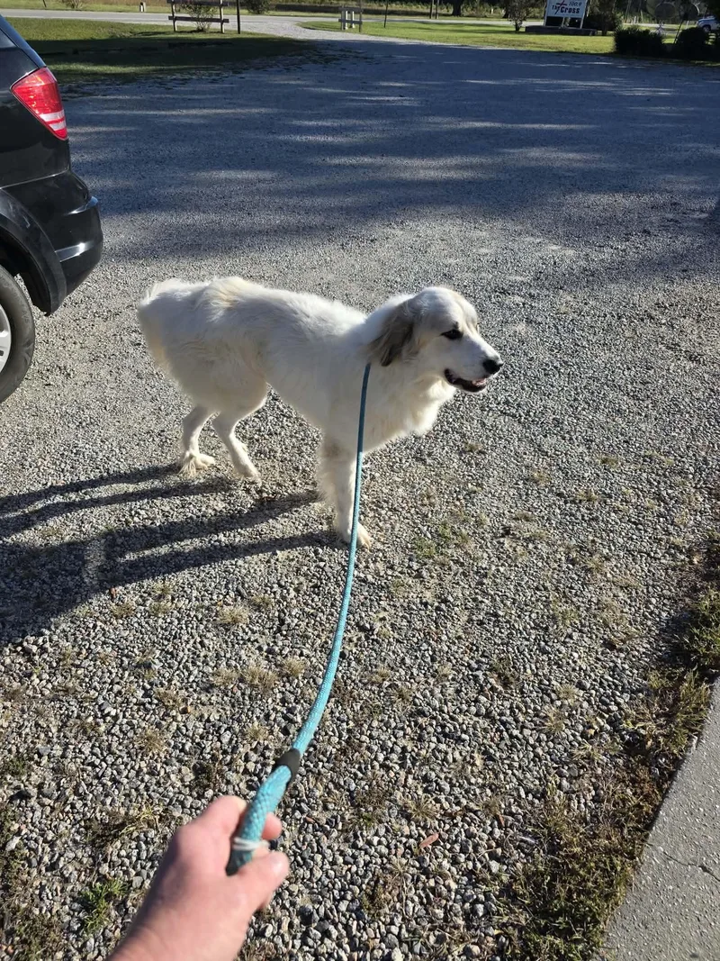 Rylie Neglected boy full thumbnail 3