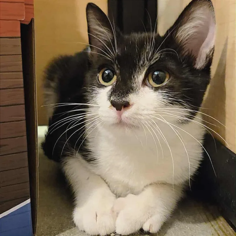 Katie Purric thumbnail 2