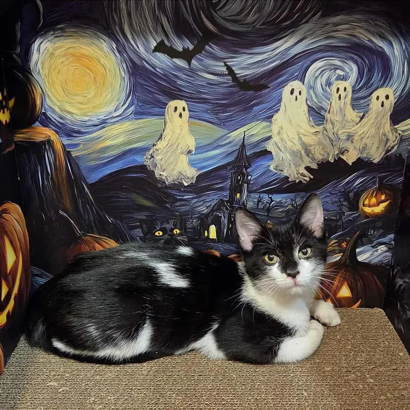 Katie Purric thumbnail 3