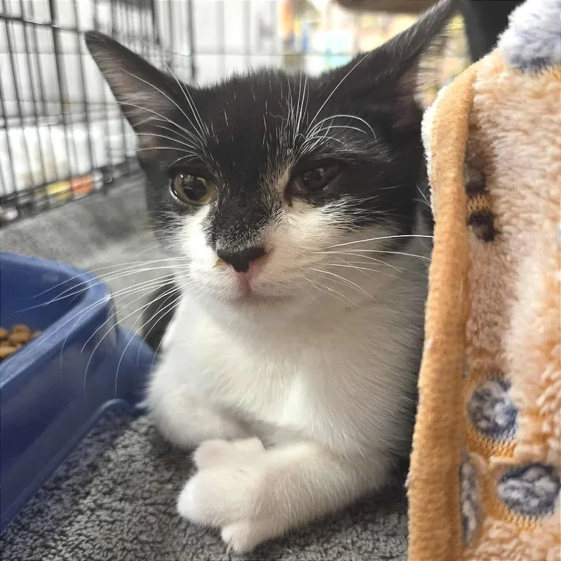 Katie Purric thumbnail 5