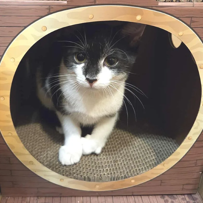 Katie Purric thumbnail 6