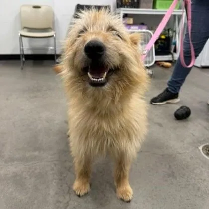 Tom Holland thumbnail 2