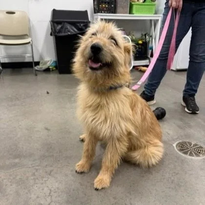 Tom Holland thumbnail 3