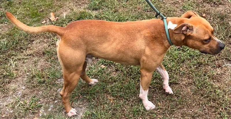 Smoke  Handsome Love thumbnail 3