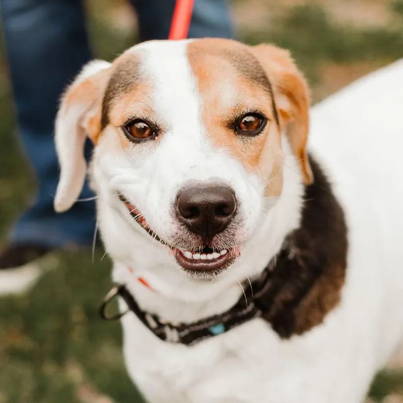 Emmy Lou thumbnail 3