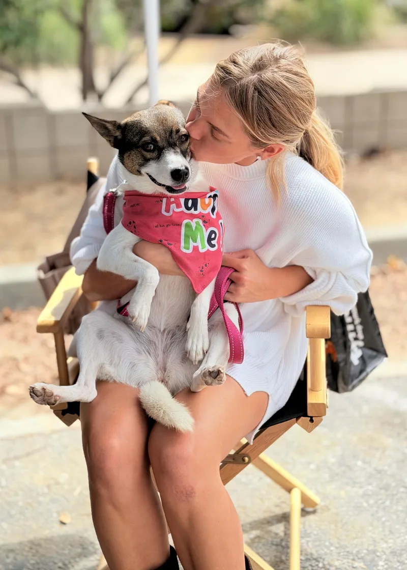 A young small-sized female Mixed Breed dog named Princess for adoption in Thousand Oaks, CA