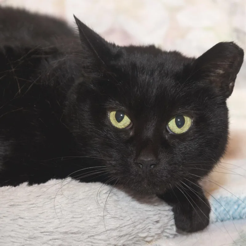 Baby Girl thumbnail 2