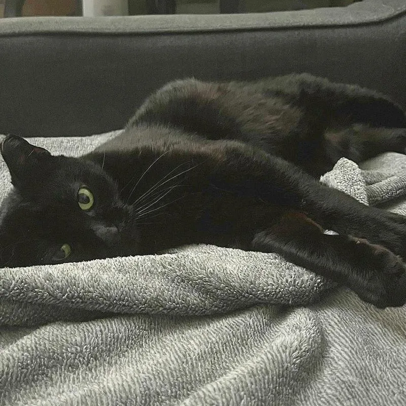 Baby Girl thumbnail 3