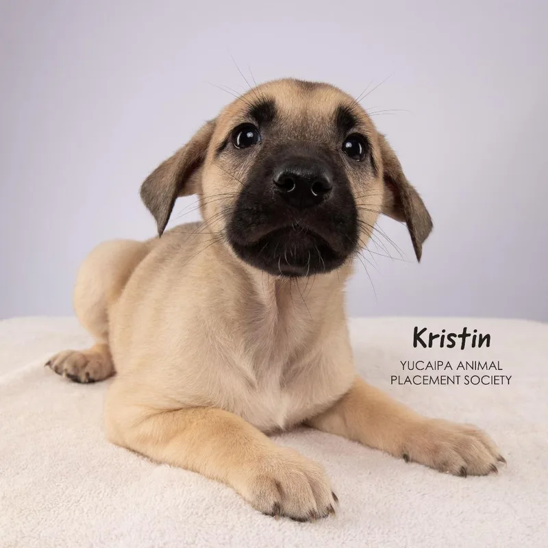 Kristin thumbnail 3