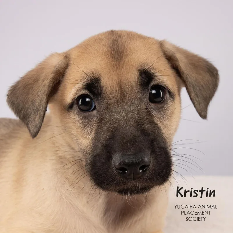 Kristin thumbnail 5