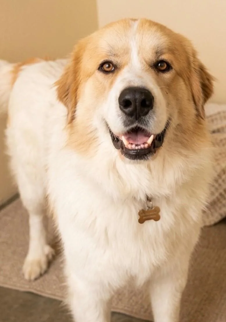 Sam