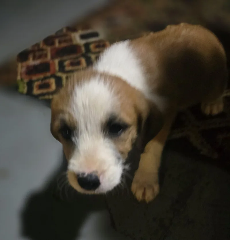 Winifred thumbnail 2