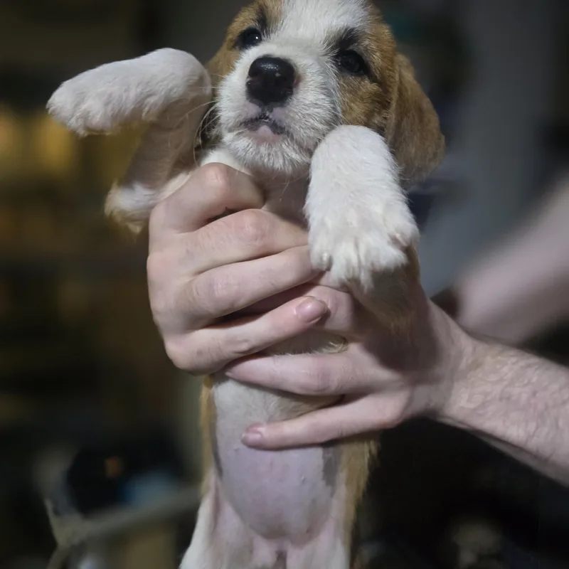 Winifred thumbnail 4