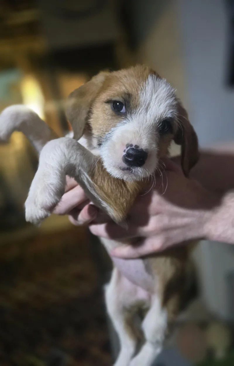 Winifred thumbnail 5
