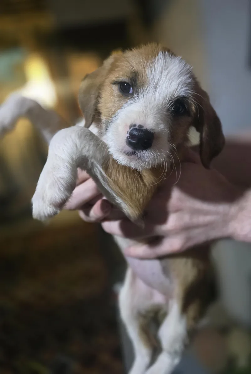 Winifred thumbnail 6