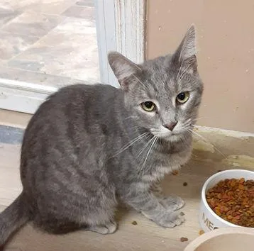 Chandler thumbnail 2