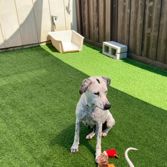 Dottie Hinson thumbnail 2