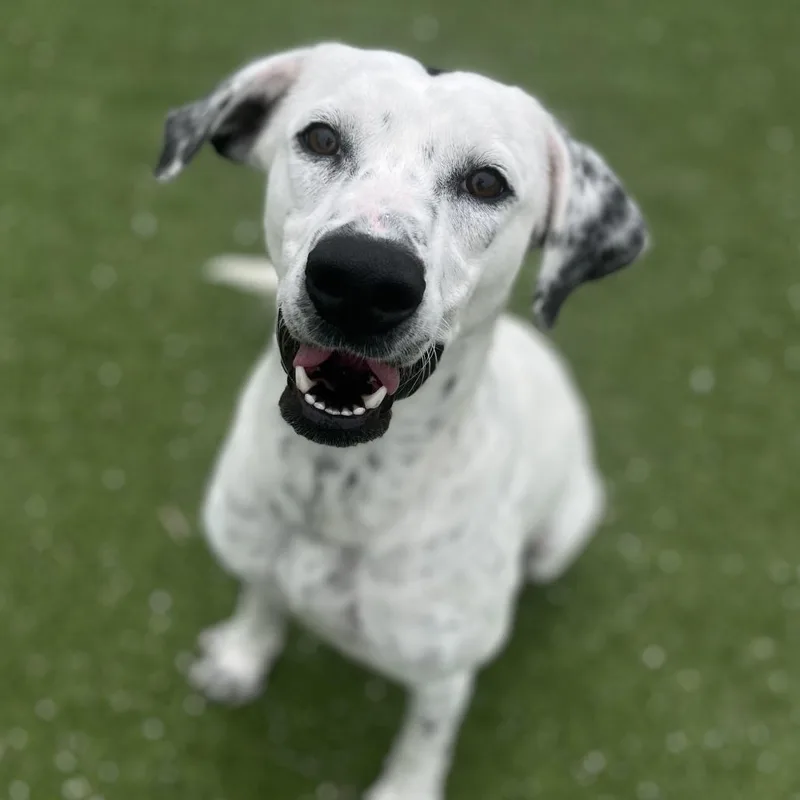 Dottie Hinson thumbnail 3