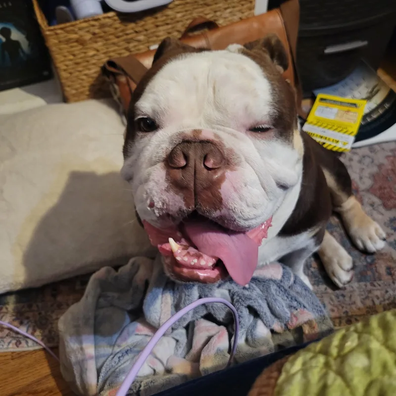Diego