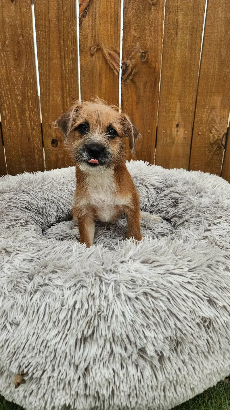 Pinky Ka thumbnail 3