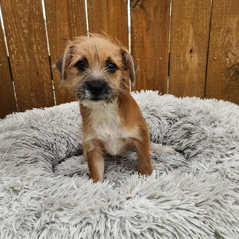 Pinky Ka thumbnail 5