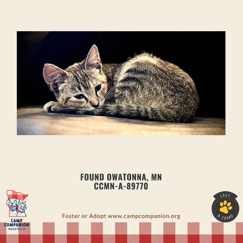 Phantom Found In Owatonna thumbnail 2