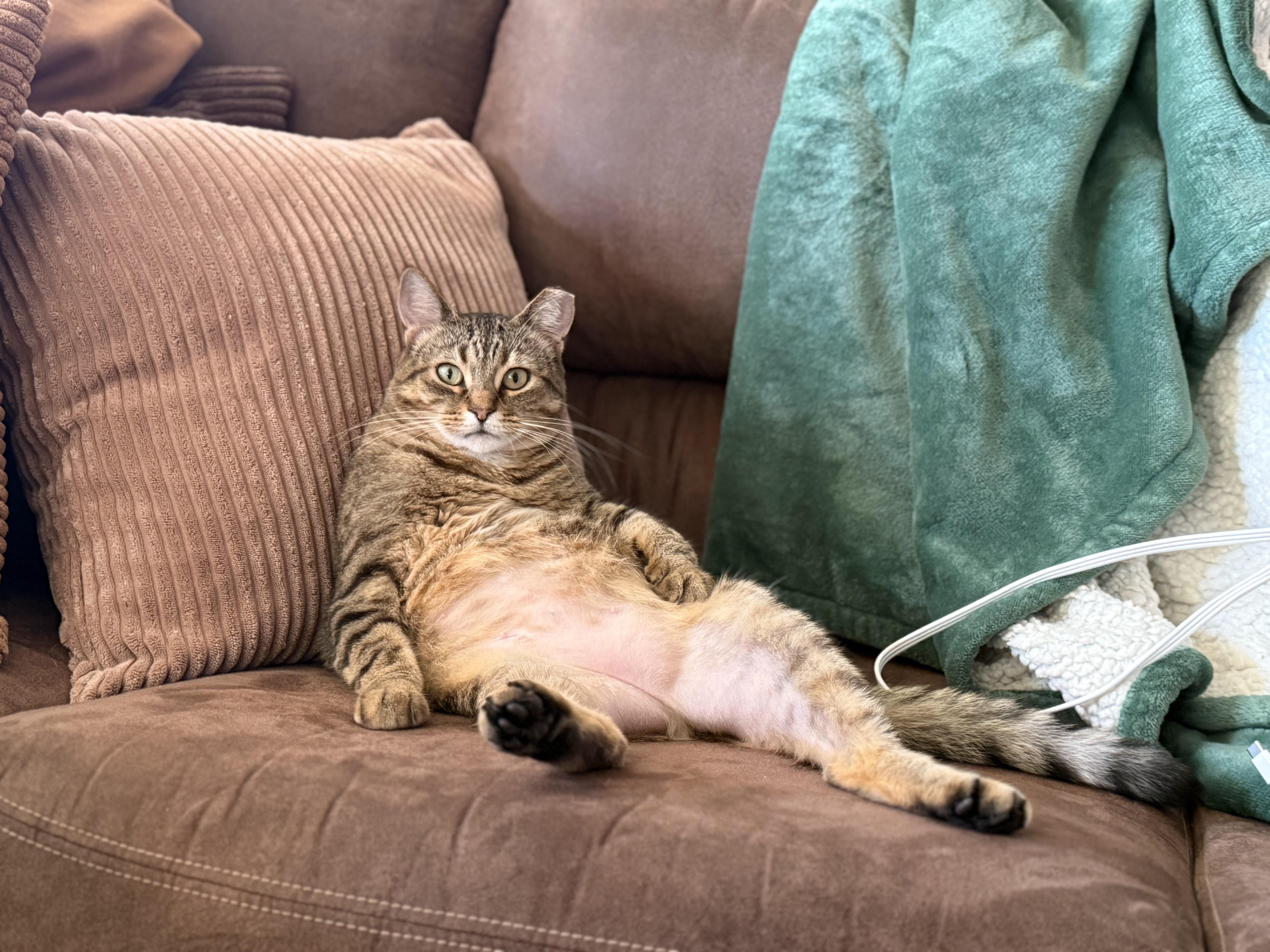 Sweet Annie thumbnail 3