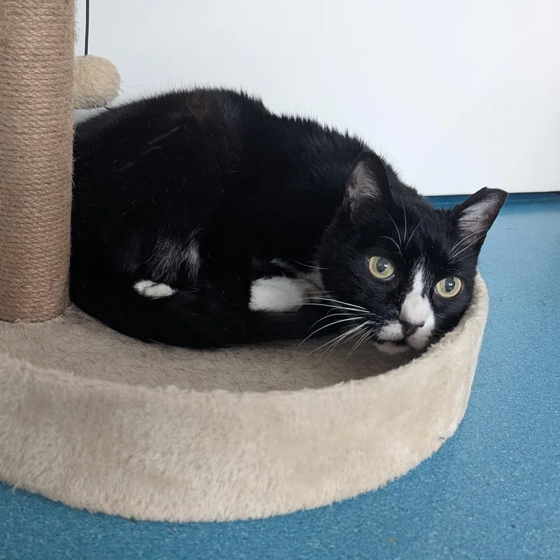 Murdoch  Kidney Hospice thumbnail 2