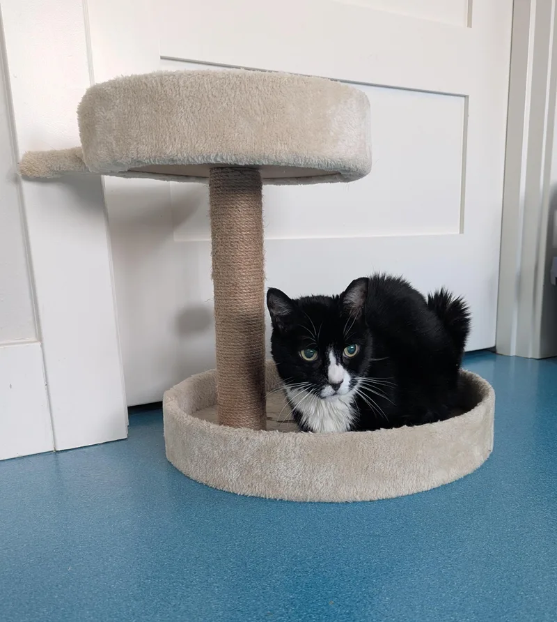 Murdoch  Kidney Hospice thumbnail 3