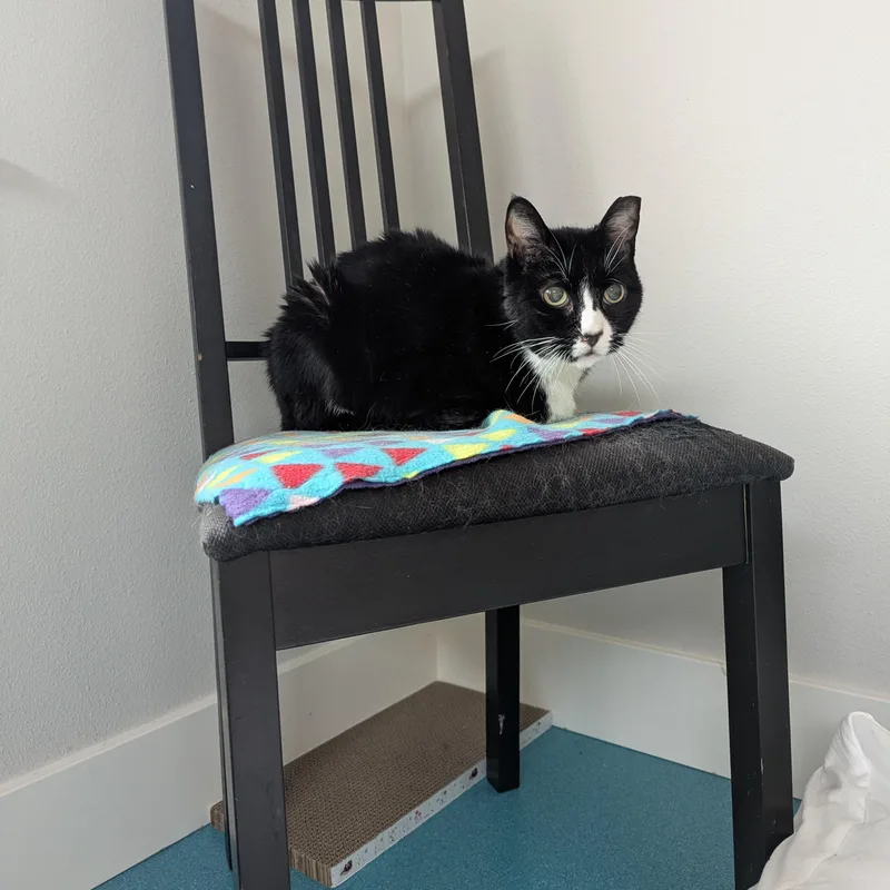 Murdoch Kidney Hospice