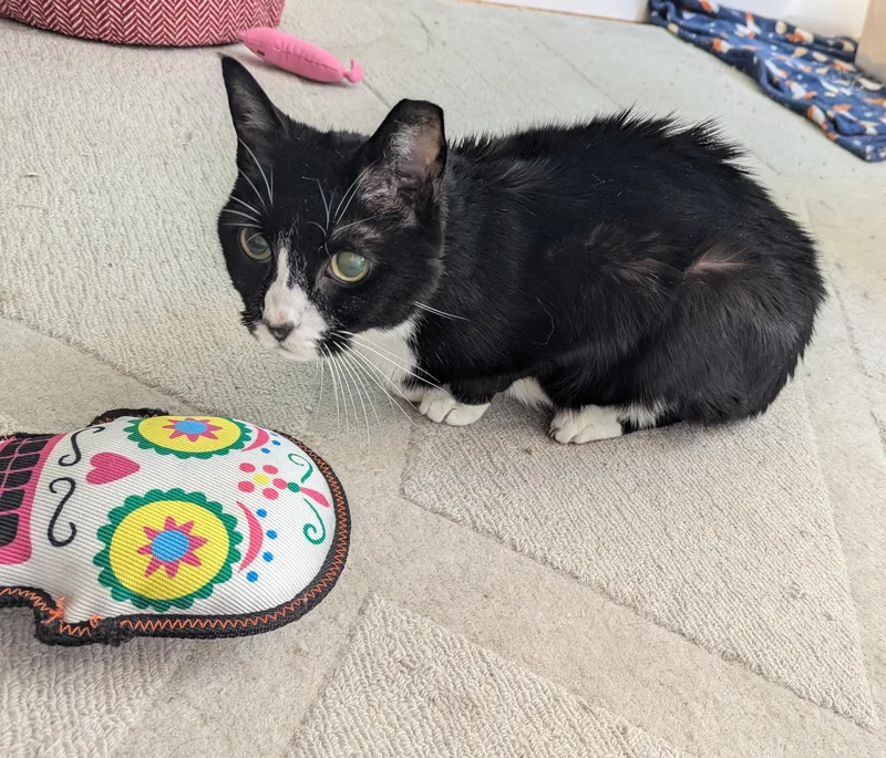 Murdoch  Kidney Hospice thumbnail 4