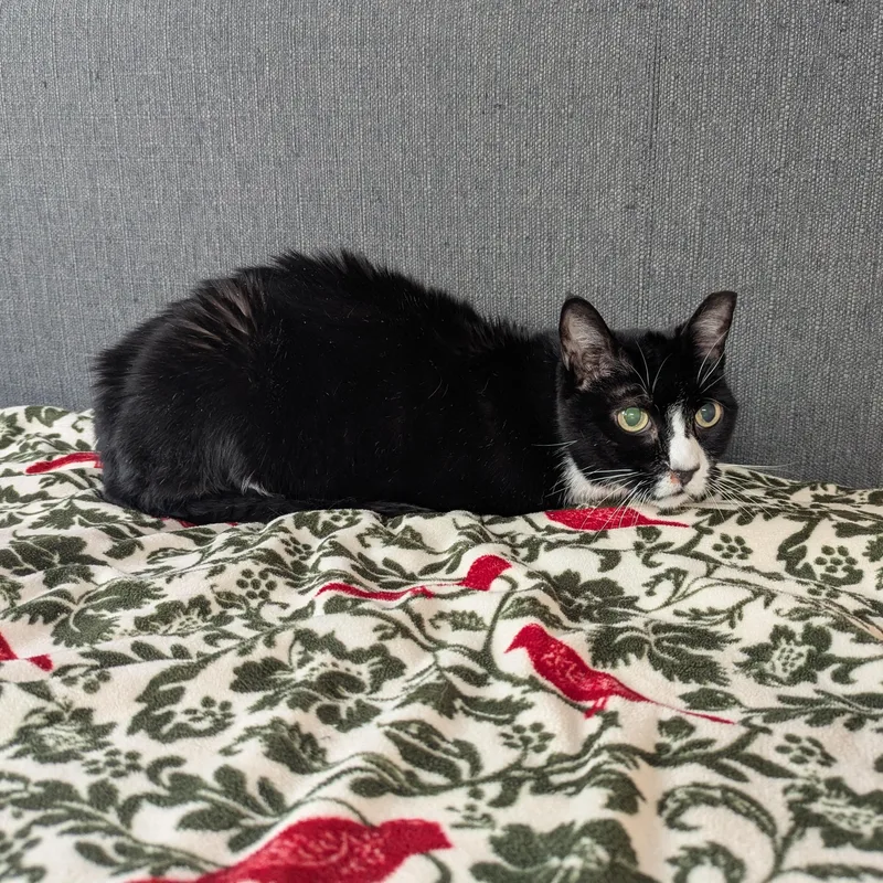 Murdoch  Kidney Hospice thumbnail 5