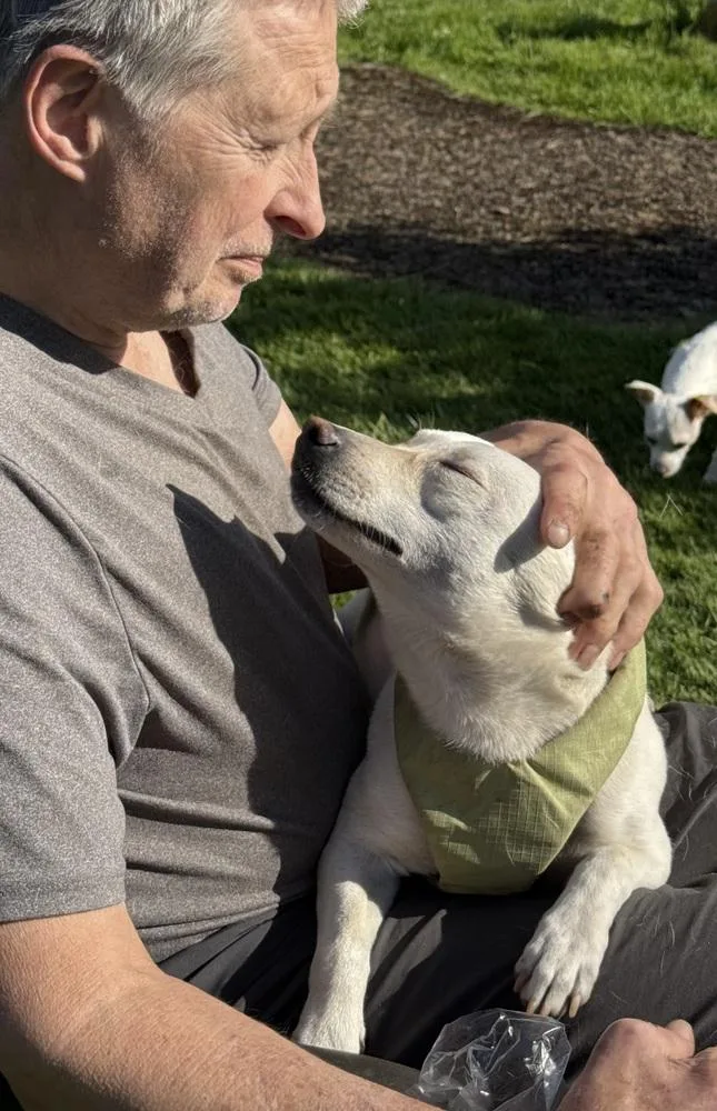 Murtaugh thumbnail 2