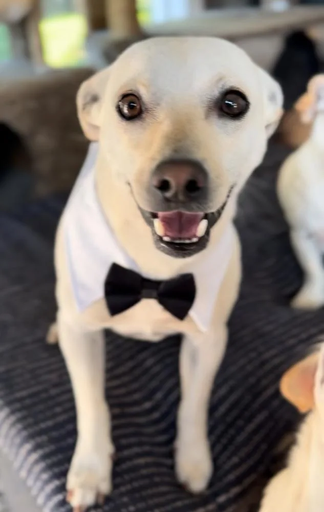 Murtaugh thumbnail 6