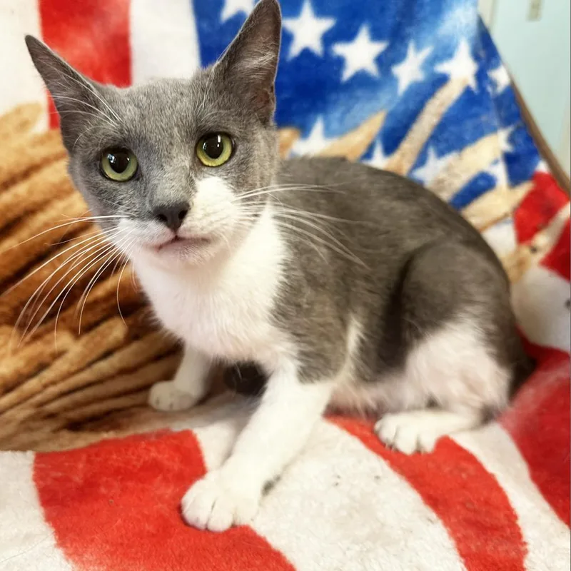 Mama Denim thumbnail 2