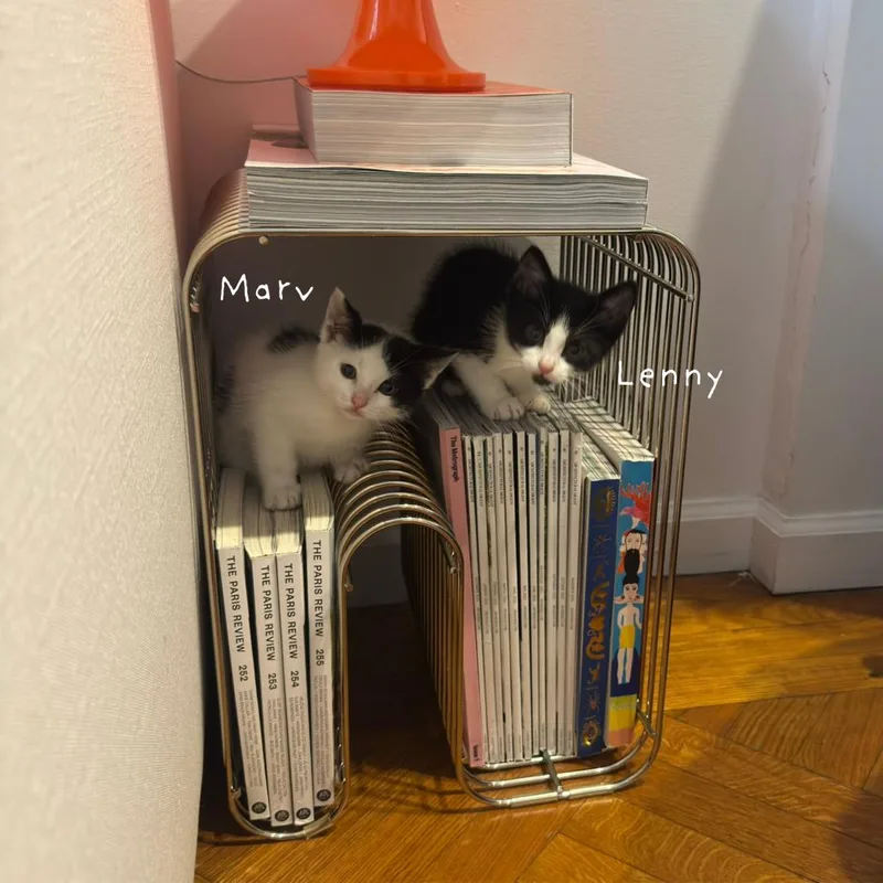 Marv thumbnail 4