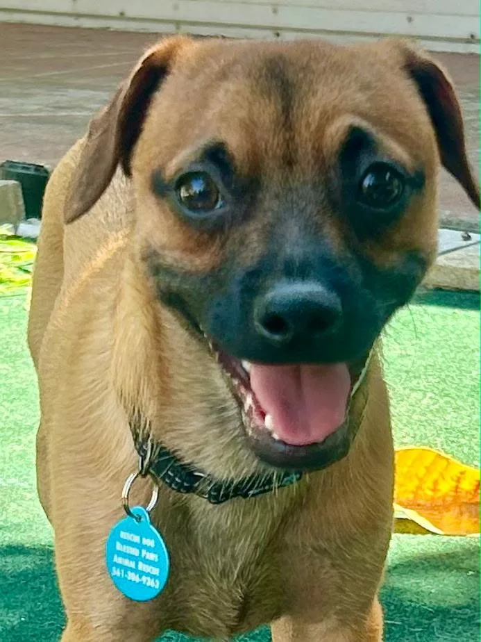 Ty thumbnail 3