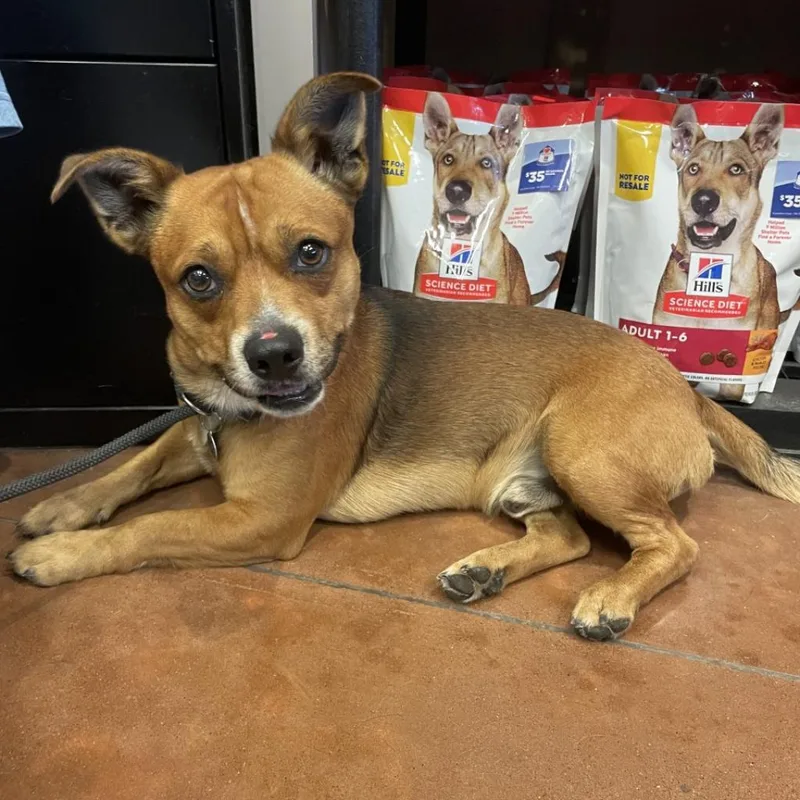 Handkerchief thumbnail 3