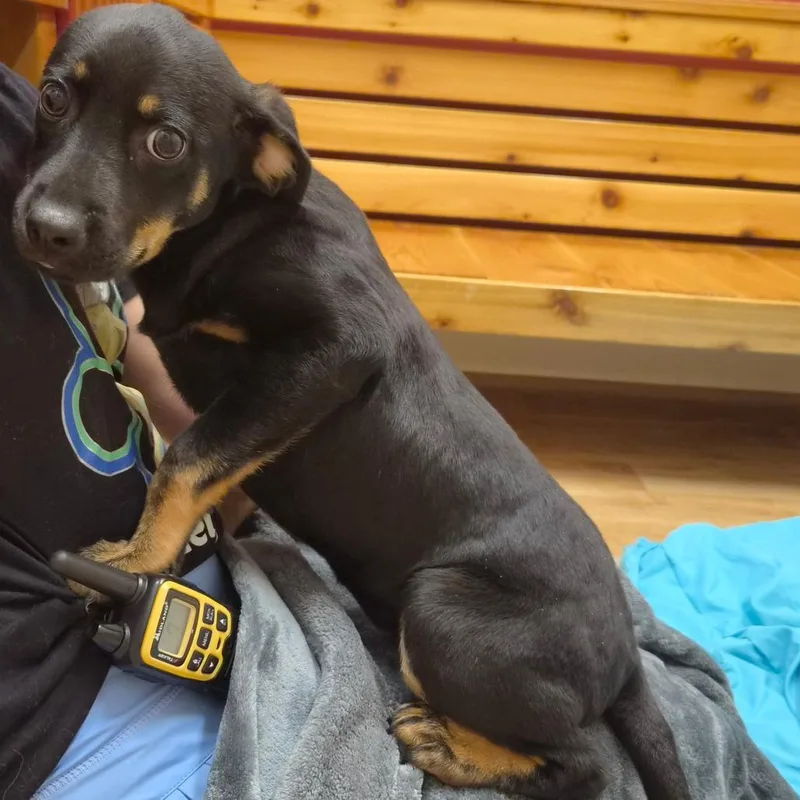 Delilah thumbnail 5