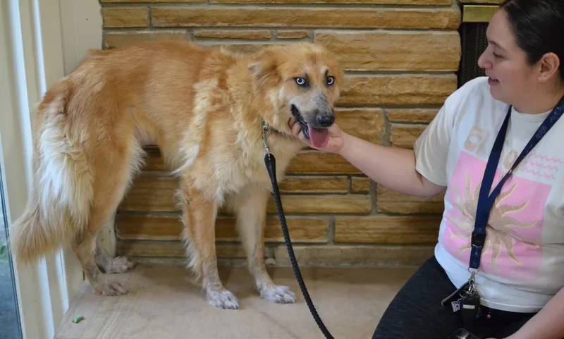 Sasha thumbnail 2