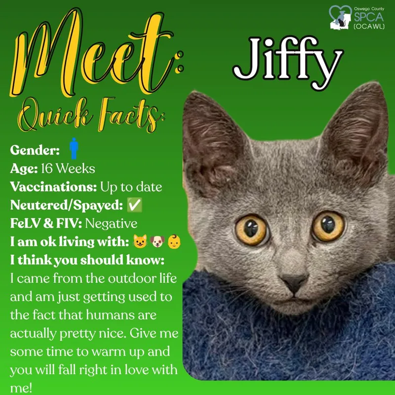 Jiffy thumbnail 2